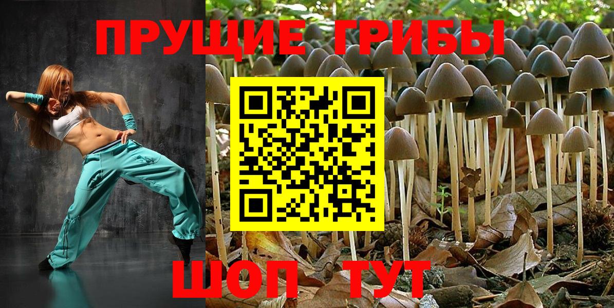 Псилоцибиновые грибы Cubensis  Вход с VPN  Орск 